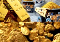 Золотодобывающее предприятие